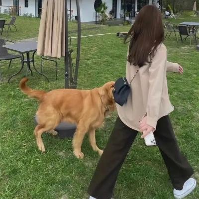芬妮的勇敢旅程